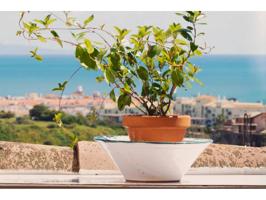 Atico en venta en Urbanización El Hacho-La Duquesa Golf photo 0