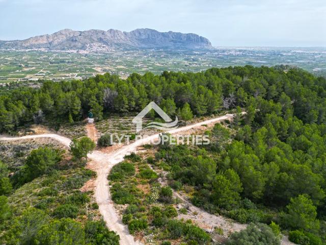 Terrenos Edificables En venta en Benidoleig photo 0