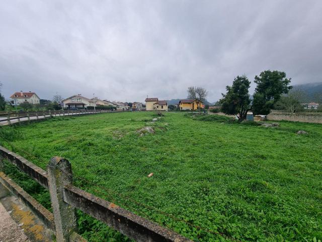 TERRENO EN ALCILLO photo 0
