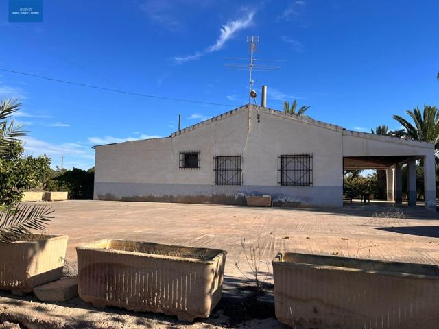SE VENDE FINCA RÚSTICA EN PARTIDA ALTABIX A 5 MINUTOS DE ELCHE photo 0