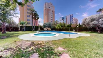 ¡¡¡ TENEMOS TU APARTAMENTO IDEAL EN GUARDAMAR!! photo 0