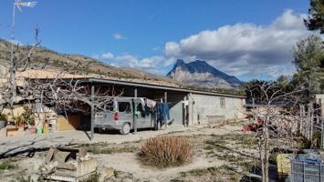 Casa en venta en Villajoyosa con 7000 m2 de parcela. photo 0