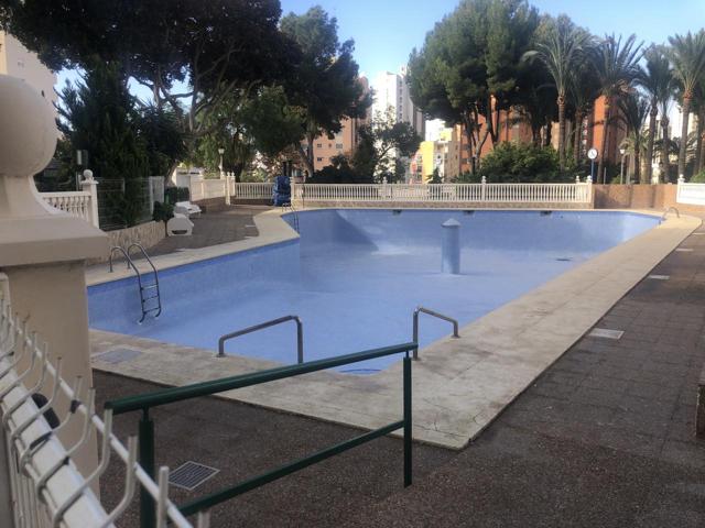 Apartamento en venta en Benidorm con parking y piscina. photo 0