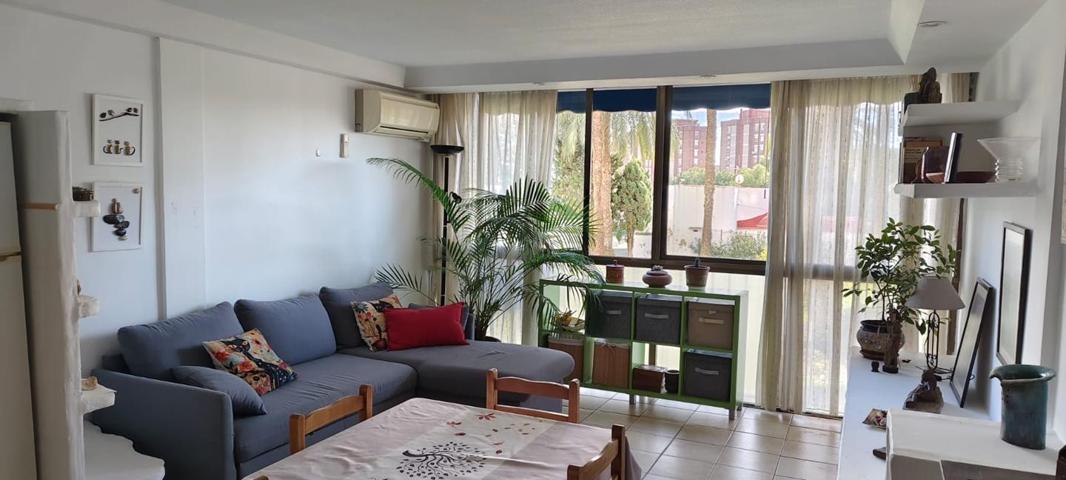 Magnífico estudio en venta en la zona Juzgados de Benidorm photo 0