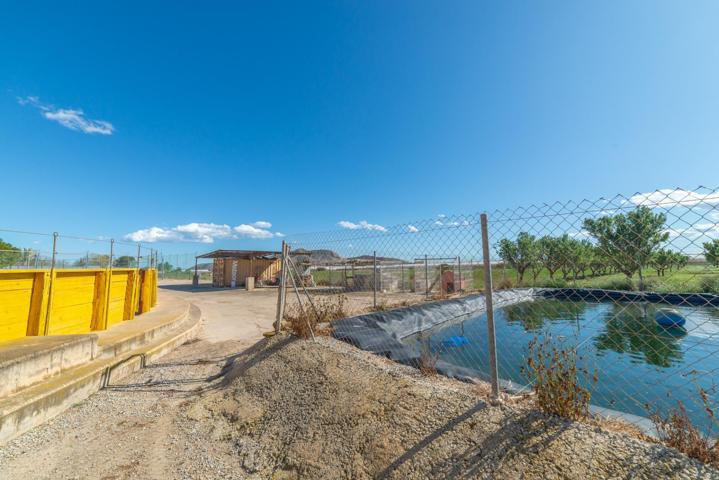 Casa De Campo En venta en Balsicas, Torre - Pacheco photo 0