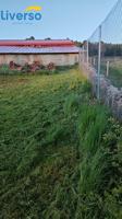 Oportunidad Única - Terreno urbano con Nave en Pueblo cerca de Arauzo de Miel photo 0