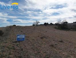 Terrenos Rústicos a la Venta: Oportunidades para Agricultura, Ganadería y Proyectos Naturales photo 0