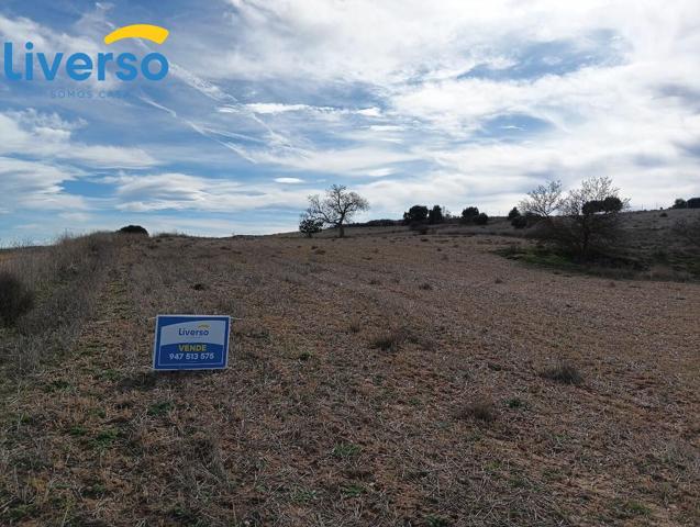 Terrenos Rústicos a la Venta: Oportunidades para Agricultura, Ganadería y Proyectos Naturales photo 0