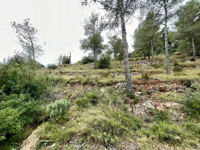 TERRENO EN EL PRIORAT DE LA BISBAL photo 0