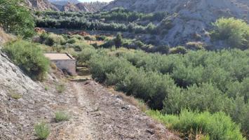 Casa De Campo En venta en Alpujarra Almeriense, Canjayar photo 0
