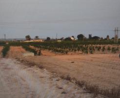 QUIERES CONSTRUIR UNA CASA EN EL CAMPO!!, photo 0