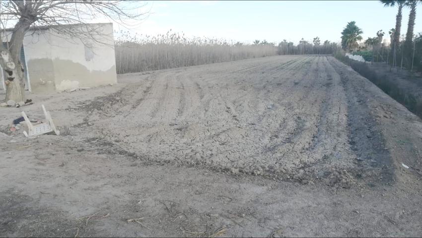 PARCELA NO URBANIZABLE, CERCA DE GUARDAMAR, 3 PARCELAS photo 0