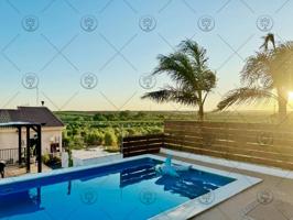 Oportunidad única: Finca rústica con piscina y amplias comodidades cerca de Huelva Capital. photo 0