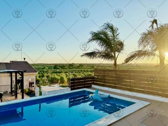 Oportunidad única: Finca rústica con piscina y amplias comodidades cerca de Huelva Capital. photo 0