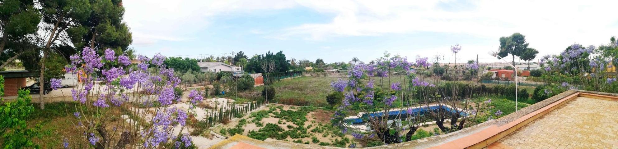 Casa de campo en la Galia, Elche. photo 0