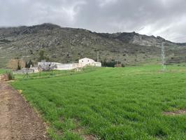 Casa De Campo En venta en Pilas De La Alhajuela, 0, Zona Cueva De Menga, Antequera photo 0