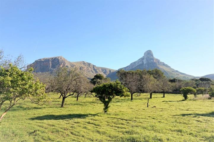 Finca rústica situada entre la Colonia de Sant Pere y S´Estanyol photo 0