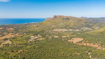 Antigua 'possessio' mallorquina con explotación agrícola photo 0