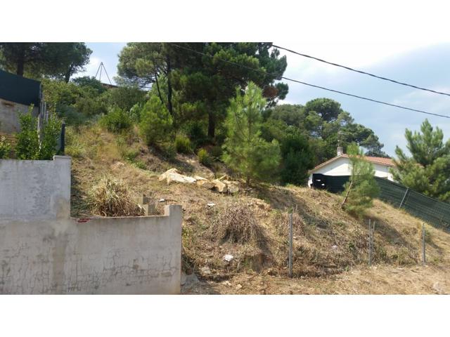 Oportunidad terreno en Montbarbat photo 0