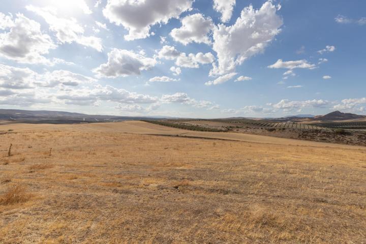 TERRENO RÚSTICO DE 28.397M2 EN OTURA photo 0