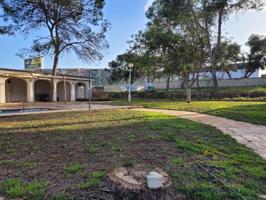 Terrenos Edificables En venta en Alicante - Alacant photo 0