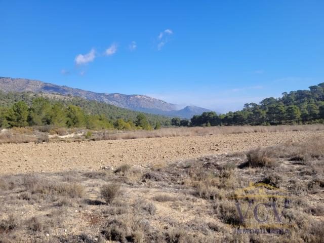 Otro En venta en Monóvar - Monòver photo 0