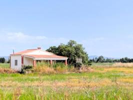 RÚSTICA ARROZAL CON CASA DE CAMPO photo 0