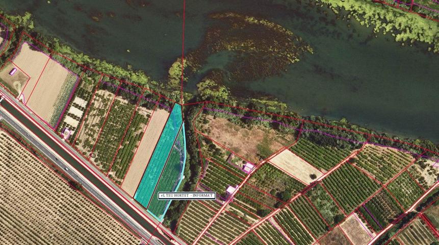 TERRENO EN VENTA - VINALLOP photo 0