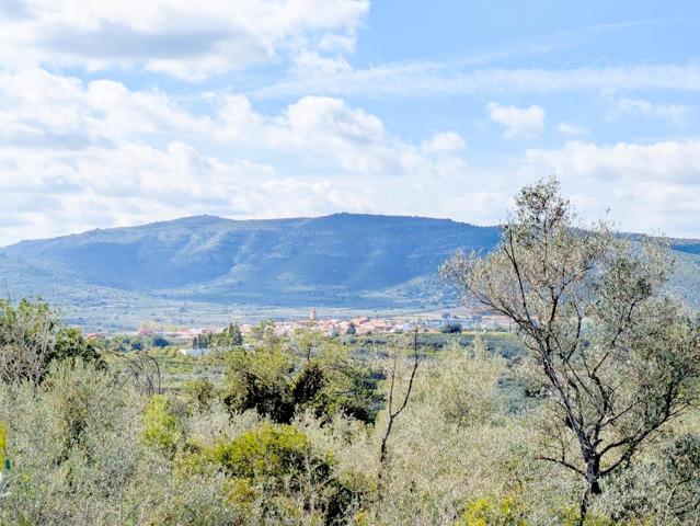 FINCA RUSTICA EN FREGINALS photo 0