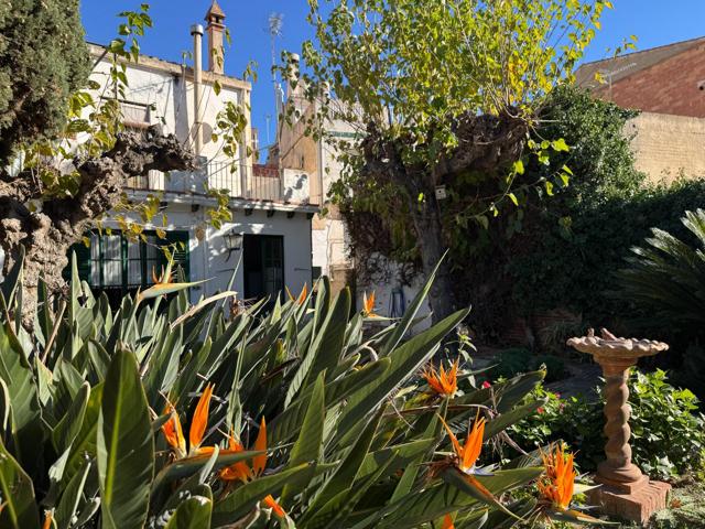 ✨ Oportunidad de adquirir Una pieza única en el centro de Mataró. photo 0