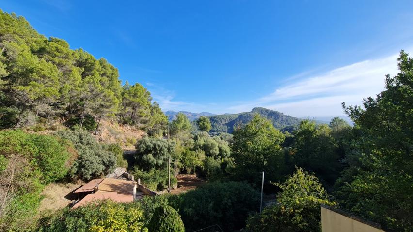 ESTAS A UN PASO DEL PARAISO photo 0