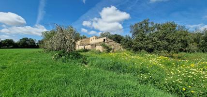 FINCA RÚSTICA EN VENTA EN MANACOR photo 0