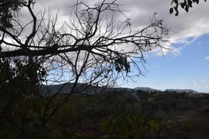 Encantadora Planta Baja en Campanet con Terraza y Vistas a la Montaña 🌄 photo 0