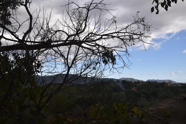 Encantadora Planta Baja en Campanet con Terraza y Vistas a la Montaña 🌄 photo 0
