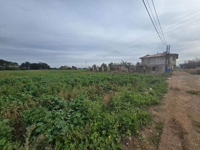 Encantadora Finca Rústica en Búger con agua propia y luz photo 0