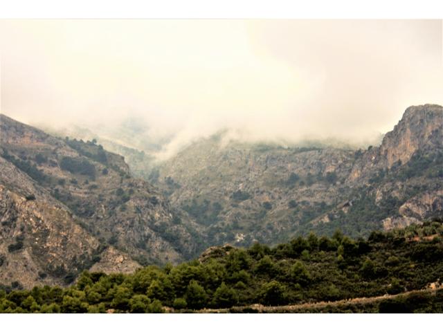VENTA TERRENO EN NERJA photo 0