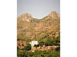 BUENA OPORTUNIDAD DE VENTA RURAL CON AGUA, EN ALMUÑECAR photo 0