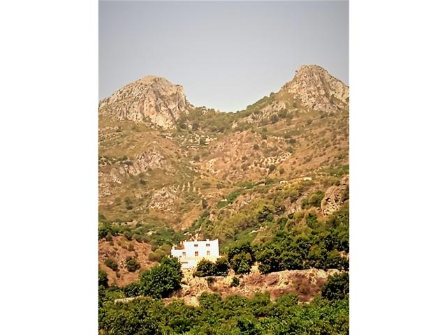 BUENA OPORTUNIDAD DE VENTA RURAL CON AGUA, EN ALMUÑECAR photo 0