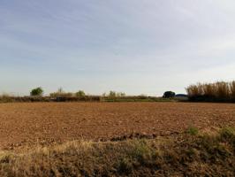 Terreno agrario de regadío en la Huerta del Castellar, Torres de Berrellén photo 0