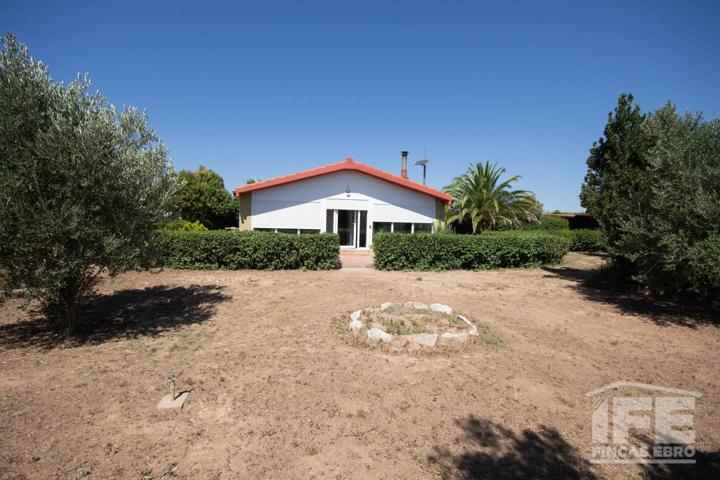 Finca Rustica en Corella photo 0