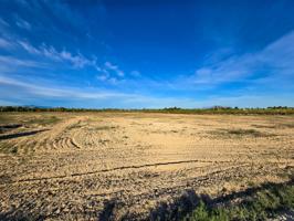 Gran parcela de 19.000 m² con posibilidad de construir hasta 1.140 m² en valverde bajo, elche photo 0