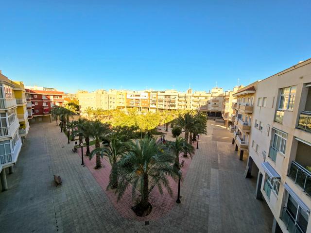 🏠 Amplio piso en Elche, zona Campo de Fútbol 🏡 photo 0