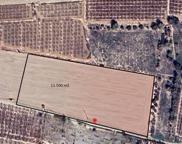 Terreno de 11.000 m2 con servicios y acceso fácil: construye tu futuro en Valverde (Elche photo 0