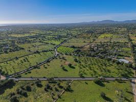 Gran parcela con proyecto en Manacor photo 0