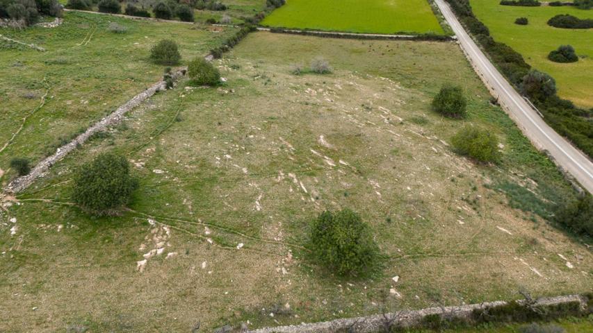 Parcela rústica edificable de 14.000 m² en Son Servera ( Mallorca) photo 0