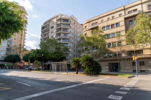 Local comercial alquilado en Palma photo 0