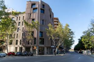 Local comercial alquilado en Palma photo 0