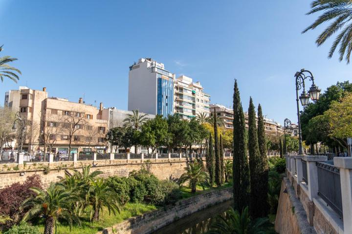 Local comercial alquilado en Palma photo 0