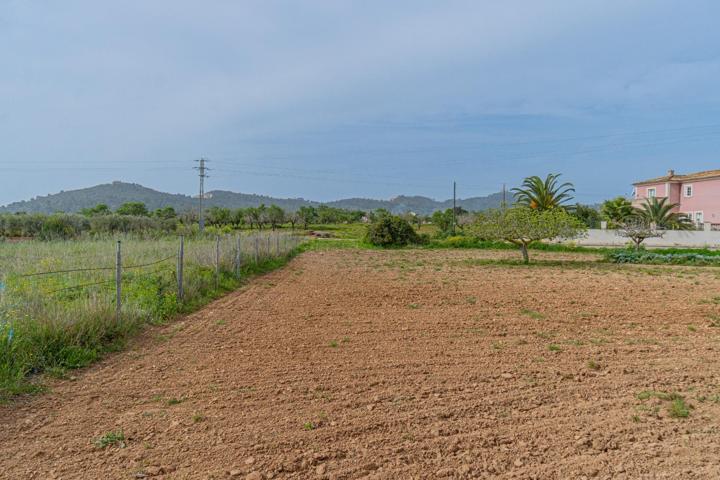 Solar urbano en Porreres photo 0