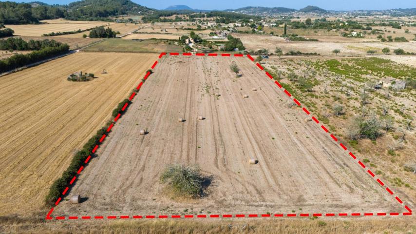 Terreno edificable de 14.411 m² con vistas despejadas en Sineu photo 0